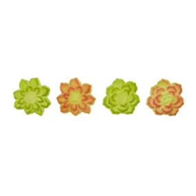 Succulents Assortment Dec-Ons® Decorations